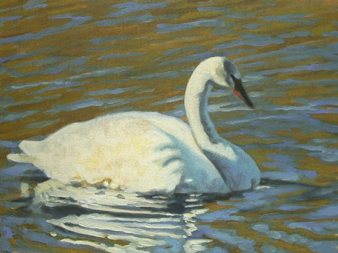 trumpeter swan book. Trumpeter Swan 9x12quot; oil on