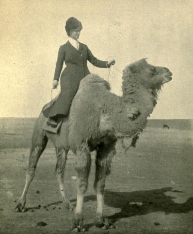 A tour in Mongolia Beatrix Bulstrode