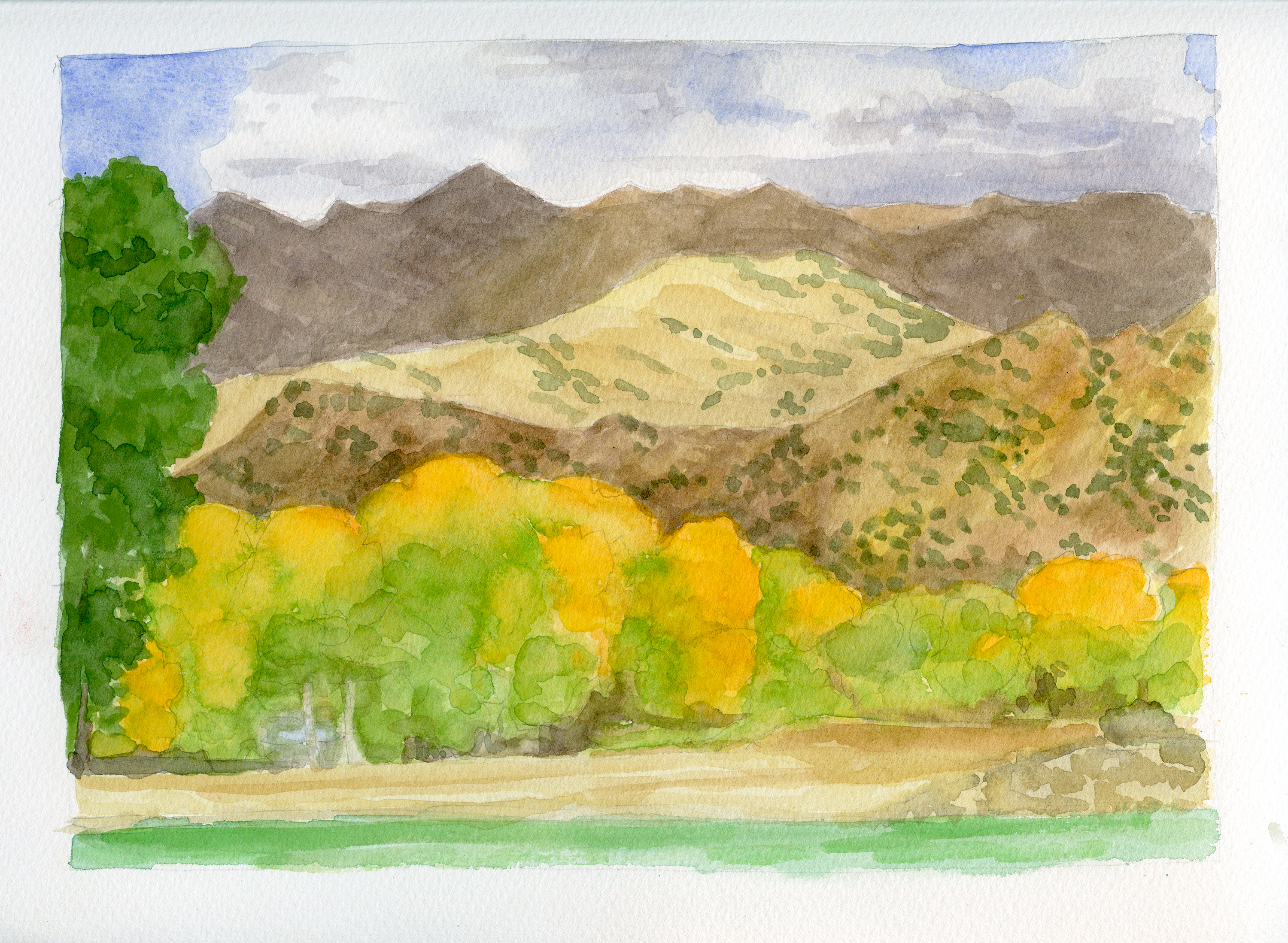 Cottonwoods, Finley Ranch; watercolor