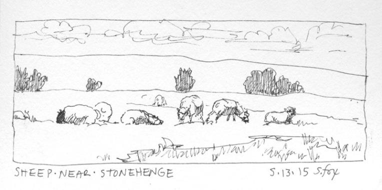 sheep-near-stonehenge